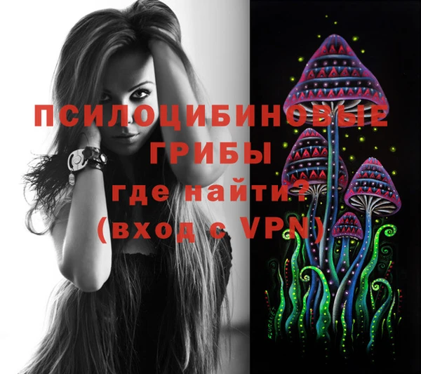 первитин Покачи