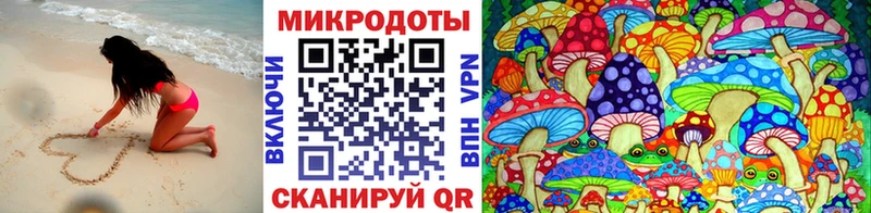 купить  цена  Таштагол  Псилоцибиновые грибы Psilocybe 